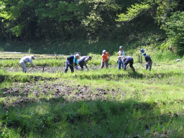発足当時のストーリー
