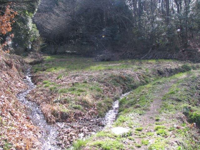 発足当時の写真