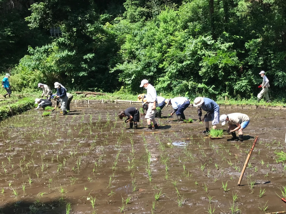 田んぼの管理